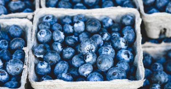 Frukt med mange langsiktige helsefordeler