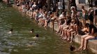 Екстремните жеги в Нидерландия взеха над 900 нови жертви
