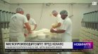 Късна емисия