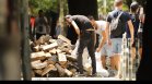 Страх от газова криза и високи сметки: Столичани се презапасяват с дърва
