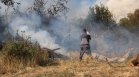 ЕС мобилизира подкрепа за борба с горските пожари в България, РСМ и Албания