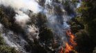 Пожарите в Гърция взеха жертва, огънят изпепели домове и имущество