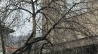 В тежко състояние остава удареният от клон мъж в Сливен
