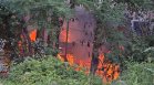 Експерт посочи какво да направим, за да избегнем големи пожари в страната