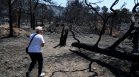 Десетки пожарникари и самолети се борят с два нови пожара в Гърция