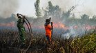 Обрат в данните за пожарите: Изпепелените площи в света са на път да достигнат исторически минимум