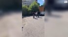 Екшън в Софийско и десетки задържани, Демерджиев обяви как "недосегаеми няма" (ВИДЕО)