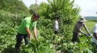Бизнесът се нуждае от 160 000 сезонни работници, спешно наема чужденци (ВИДЕО)