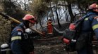 Голям пожар бушува на гръцкия остров Лесбос