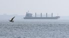 Два кораба с близо 60 хил. тона зърно отплаваха от украински пристанища