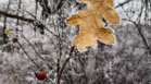 Вледеняващи температури до дни и сериозно затопляне след 15 февруари