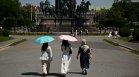 Над 10 600 жертви в Европа след рекордните горещини в края на юни