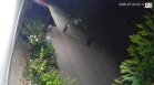 Кадри от охранителни камери показват момента на ареста на Асен, отвлякъл Наталия (+ВИДЕО)