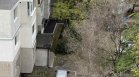 Опасни дървета в София: Възможни са щети и инциденти