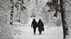 В снежен капан: 50 деца и възрастни бяха блокирани в училище в Германия