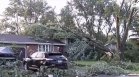 Торнада изкорениха дървета и отнесоха покриви в Чикаго