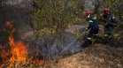 Властите в Гърция продължават борбата с пожарите