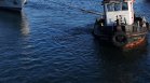 Дунав защитава Черно море край България от замърсяване заради войната