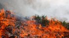 Четвърт милион евакуирани: Опустошителни горски пожари парализират Франция и Испания