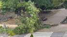 Паднал клон заради лошото време в Сливен прати мъж в болница