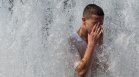 "Смъртоносно лято": Историческа суша превръща Германия в пустиня