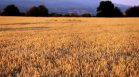 Испания ще внася украинско зърно с влак