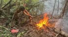 ЮЗДП с тревожни данни за горите ни: 3600 дка са засегнати при пожарите