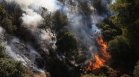 Пожарът в Гърция засегна 30 дка от територията на България