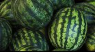 Разгорещени продавачи изпратиха диня по главата на клиент в Кюстендилско &nbsp;