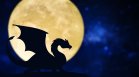 Трудните времена приключват за 4 китайски зодии на 19 юни 2026 г.