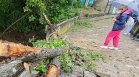 Паднали дървета след бурята в София, НИМХ обяви жълт код за опасно време във вторник