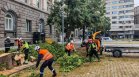 Бурята в столицата повали дървета, екипи разчистват щетите (СНИМКИ)