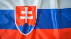 Словения гласува на четири референдума днес
