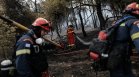 Наши военни и тежка техника гасят пожара на гръцко-българската граница