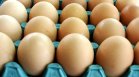 Европейската комисия облага с мита вноса на украинските яйца