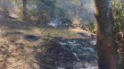 Силен вятър разпали отново горския пожар край село Лесковец