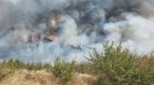 8000 декара са изпепелени от пожара във Врачанско, продължават огледите в Мездра