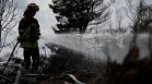 Изпепеленият природен резерват "Делиблатски пясъци" в Сърбия в СНИМКИ