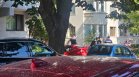 Задържаният за убийството на жена в София трошил коли в "Бъкстон"