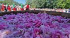 В Казанлък отбелязаха Празника на розата с тържествено шествие