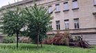 Мощната буря в София остави квартали без ток, наводнени са подлези и улици