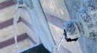 Сериозно замърсяване на водата в Габровско и Севлиевско след наводненията