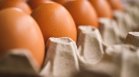 Птицевъди искат забрана за вноса на украински яйца у нас