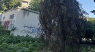 Сигнали от страната: Надвиснали клони и сухи дървета опасни за хора и имущество