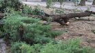 Апокалиптична нощ в Благоевградско: Пожари и свлачища след мощната буря (ВИДЕО)