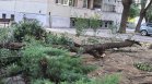 Военнослужещи разчистват в Пловдив след мощната буря