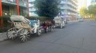 Коне, файтони, изпражнения: Слънчев бряг се е превърнал в обор