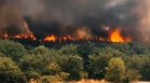 Равносметката от Припек: "Изгоря половин село, жени и деца гасиха пожара"