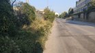 Опасности за пешеходците в столичния "Дружба" 2: Тротоари липсват, превзети са от храсти и треви 