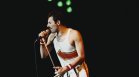 80 години от рождението на Фреди Меркюри - легендата, която не умира